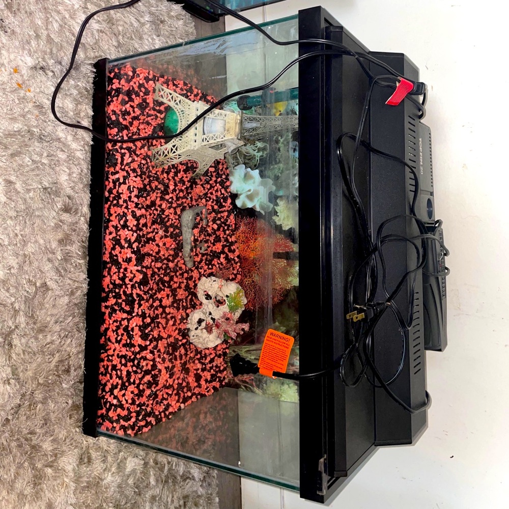 Medium size fish tank